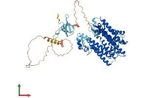 Protein Structure (PS) image for Lamin B Receptor (LBR) (AA 1-626) protein (His tag) (ABIN7557157)