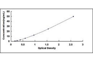 Typical standard curve (SMURF2 ELISA Kit)