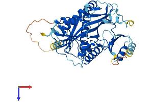 TTLL1 Protein (AA 1-423) (His tag)