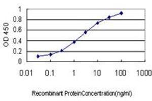 Detection limit for recombinant GST tagged RNF141 is approximately 0. (RNF141 Antikörper  (AA 141-229))