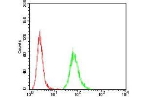 Flow Cytometry (FACS) image for anti-ATG5 Autophagy Related 5 (ATG5) antibody (ABIN5542579)