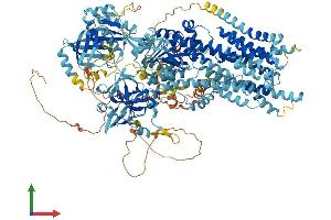 Protein Structure (PS) image for ATPase, Aminophospholipid Transporter, Class I, Type 8B, Member 3 (ATP8B3) (AA 1-1300) protein (His tag) (ABIN7552377)