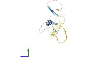 Protein Structure (PS) image for Hematopoietic Cell-Specific Lyn Substrate 1 (HCLS1) (AA 1-486) protein (His tag) (ABIN7563346)