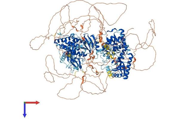 ZCCHC11 Protein (AA 1-1644) (His tag)