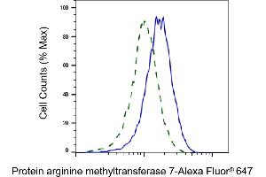 Validation of Protein arginine methyltransferase 7 knockdown using flow cytometry. (Rekombinanter PRMT7 Antikörper)