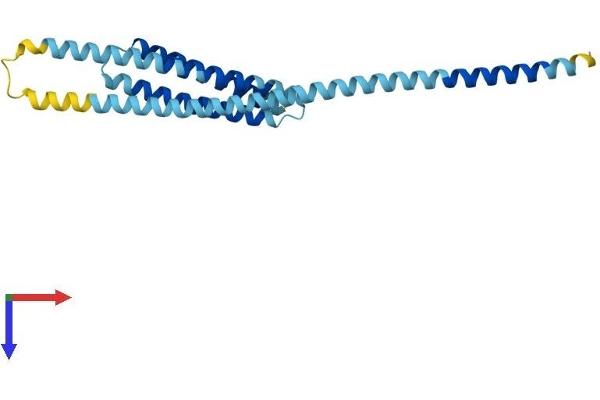BNIP1 Protein (AA 1-228) (His tag)