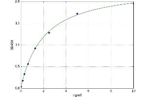 A typical standard curve