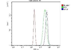 Flow Cytometry analysis of HL-60 cells using anti-Dysferlin/DYSF antibody (ABIN7601939). (Dysferlin Antikörper  (AA 51-747))