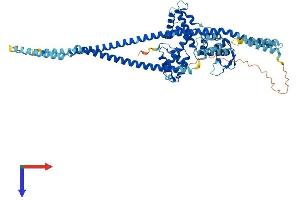 Tsnaxip1 Protein (AA 1-658) (His tag)