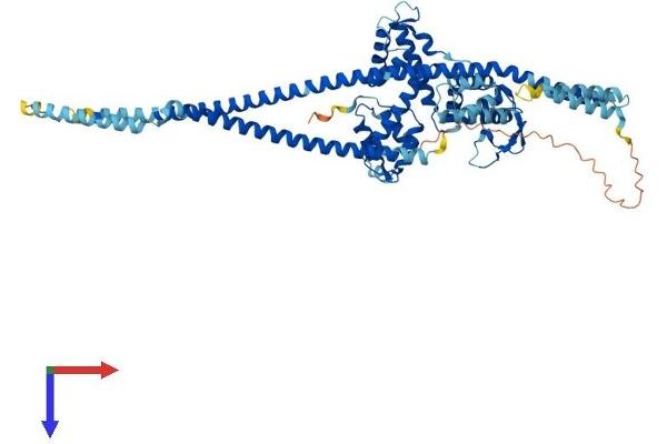 Tsnaxip1 Protein (AA 1-658) (His tag)