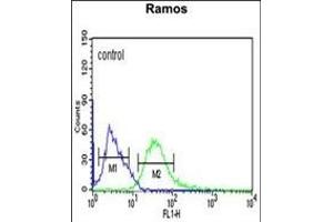 PHGDH Antibody (Center) (ABIN650767 and ABIN2839544) flow cytometric analysis of Ramos cells (right histogram) compared to a negative control cell (left histogram). (PHGDH Antikörper  (AA 249-277))