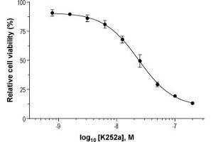 Dose-response curve of K252a (ABIN7885840) inhibition of the 100 ng/mL Native mouse NGF 2. (K252a)