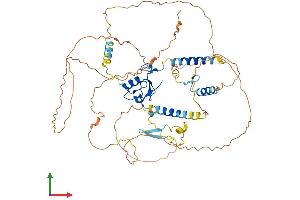 Protein Structure (PS) image for Ring Finger Protein 220 (RNF220) (AA 1-566) protein (His tag) (ABIN7551508)