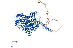 Protein Structure (PS) image for Myotubularin Related Protein 6 (MTMR6) (AA 1-621) protein (His tag) (ABIN7549566)