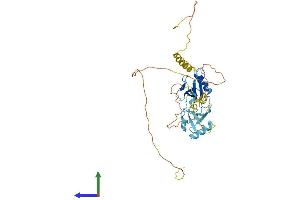 Protein Structure (PS) image for Doublecortin (DCX) (AA 1-365) protein (His tag) (ABIN7547048)