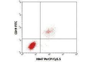 Flow Cytometry (FACS) image for anti-B-cell antigen receptor complex-associated protein alpha chain (CD79A) antibody (PerCP-Cy5.5) (ABIN2660409) (CD79a Antikörper  (PerCP-Cy5.5))