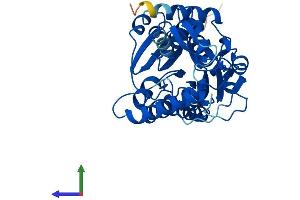 Protein Structure (PS) image for Hydroxy-delta-5-Steroid Dehydrogenase, 3 beta- and Steroid delta-Isomerase 7 (HSD3B7) (AA 1-369) protein (His tag) (ABIN7551836)