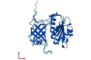 AlphaFold protein structure predicition of Human Recombinant CYB5R2 Protein, UniprotID Q6BCY4 (CYB5R2 Protein (AA 1-276) (His tag))