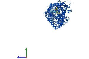 Protein Structure (PS) image for Phosphate Regulating Endopeptidase Homolog, X-Linked (PHEX) (AA 1-749) protein (His tag) (ABIN7556731)