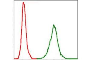 Flow Cytometry (FACS) image for anti-Neurofilament, Light Polypeptide (NEFL) antibody (ABIN1108416) (NEFL Antikörper)