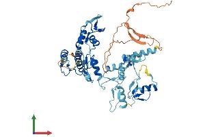 Protein Structure (PS) image for Histone H4 Transcription Factor (HINFP) (AA 1-503) protein (His tag) (ABIN7559476)