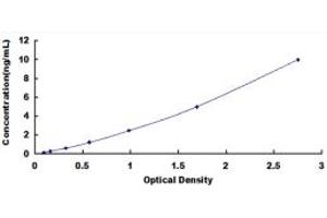 Typical standard curve (CD19 ELISA Kit)