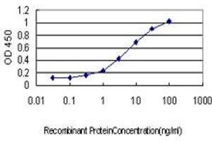 Detection limit for recombinant GST tagged PDCD11 is approximately 0.