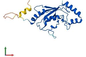 Protein Structure (PS) image for Ubiquitin-Conjugating Enzyme E2F (UBE2F) (AA 1-185) protein (His tag) (ABIN7544896)