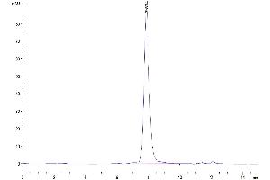 Size-exclusion chromatography-High Pressure Liquid Chromatography (SEC-HPLC) image for Phospholipase D4 (PLD4) (AA 58-503) protein (His tag) (ABIN7275465)