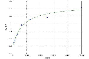 Angiomotin (AMOT) ELISA Kit