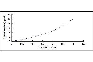 Typical standard curve (ADAM33 ELISA Kit)