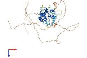 ZNF280A Protein (AA 1-542) (His tag)