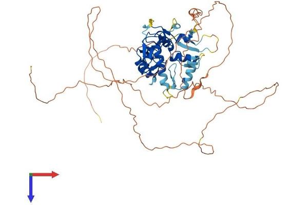 ZNF280A Protein (AA 1-542) (His tag)