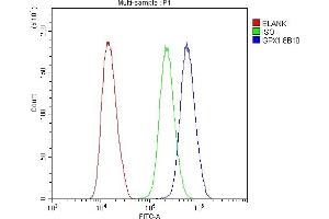 Flow Cytometry analysis of U251 cells using anti- GPX1 antibody (ABIN6719520). (Glutathione Peroxidase 1 Antikörper  (Middle Region))