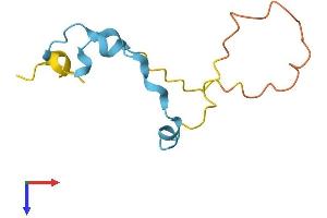 MLLT11 Protein (AA 1-90) (His tag)