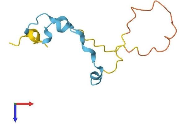 MLLT11 Protein (AA 1-90) (His tag)