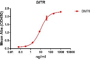 ELISA plate pre-coated by 2 μg/mL (100 μL/well) Human GITR protein, hFc-His tagged protein ((ABIN6961091, ABIN7042211 and ABIN7042212)) can bind Rabbit anti-GITR monoclonal antibody(clone: DM78) in a linear range of 1-100 ng/mL. (TNFRSF18 Antikörper  (AA 266-162))
