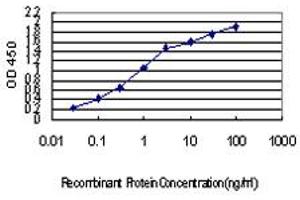 Detection limit for recombinant GST tagged IRX5 is approximately 0. (IRX5 Antikörper  (AA 204-264))