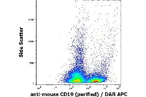 Flow cytometry surface staining pattern of murine splenocyte suspension stained using anti-mouse CD19 (1D3) purified antibody (concentration in sample 0,6 μg/mL) DAR APC. (CD19 Antikörper)