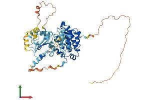 Protein Structure (PS) image for rho GTPase Activating Protein 8 (ARHGAP8) (AA 1-464) protein (His tag) (ABIN7551336)