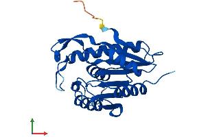 Protein Structure (PS) image for Lysophospholipase I (LYPLA1) (AA 1-230) protein (His tag) (ABIN7556832)