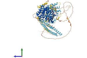 Protein Structure (PS) image for Protein Kinase N2 (PKN2) (AA 1-983) protein (His tag) (ABIN7564448)