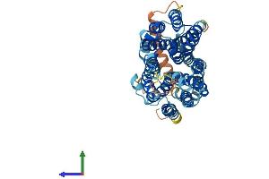 AlphaFold protein structure predicition of Human Recombinant SLC43A3 Protein, UniprotID Q8NBI5
