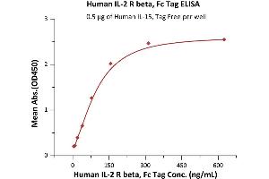 Immobilized Human IL-2 R beta, Fc Tag (ABIN2181388,ABIN2181387) at 5 μg/mL (100 μL/well) can bind Human IL-15, Tag Free (ABIN6386427,ABIN6388244) with a linear range of 5-156 ng/mL (Routinely tested). (IL2 Receptor beta Protein (AA 27-239) (Fc Tag))