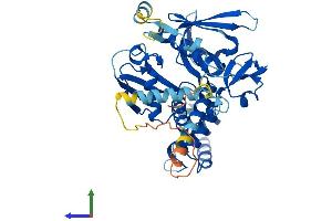 Protein Structure (PS) image for Myosin Regulatory Light Chain Interacting Protein (MYLIP) (AA 1-445) protein (His tag) (ABIN7554655)