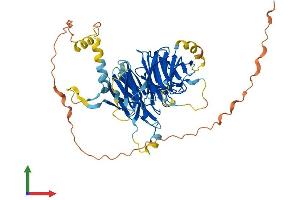 Protein Structure (PS) image for DDB1 and CUL4 Associated Factor 12-Like 1 (DCAF12L1) (AA 1-501) protein (His tag) (ABIN7559236)