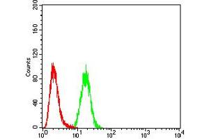 Flow Cytometry (FACS) image for anti-Calbindin 2 (CALB2) (AA 1-271) antibody (ABIN5884325) (Calretinin Antikörper  (AA 1-271))