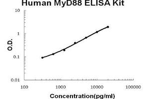 Human MyD88 PicoKine ELISA Kit standard curve