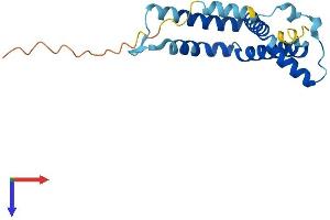 RABAC1 Protein (AA 1-185) (His tag)