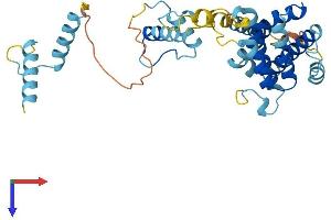PRPF18 Protein (AA 1-342) (His tag)